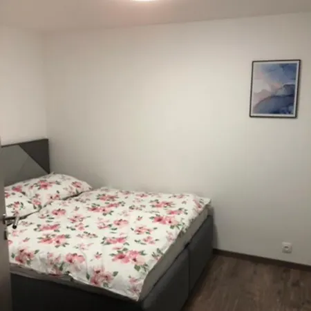 Tozike Apartman Appartement *