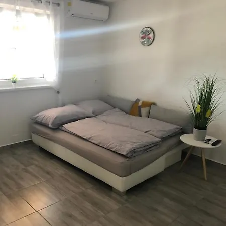 Tozike Apartman *